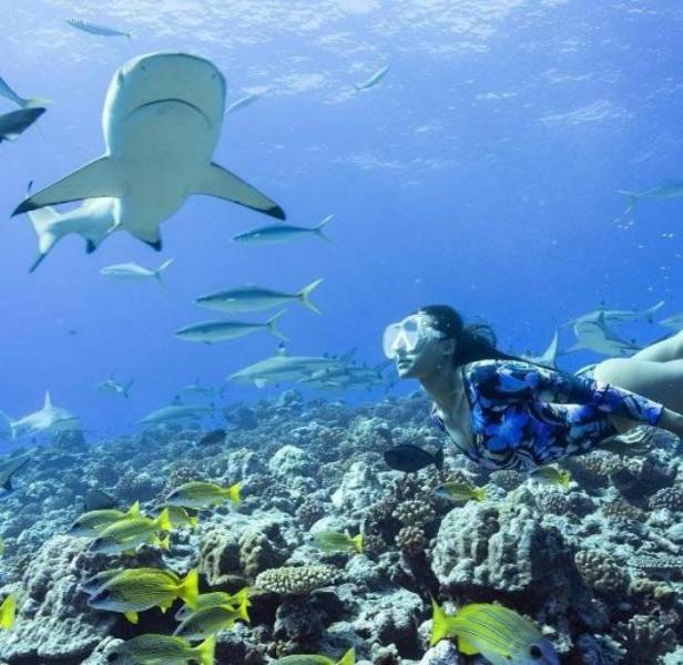 daily picdump weekend edition 67 pics 16.html - 67 HD Photos | Premium Gallery 2018