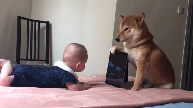 daily picdump weekend edition 67 pics 16.html - 67 HD Photos | Premium Gallery 2018