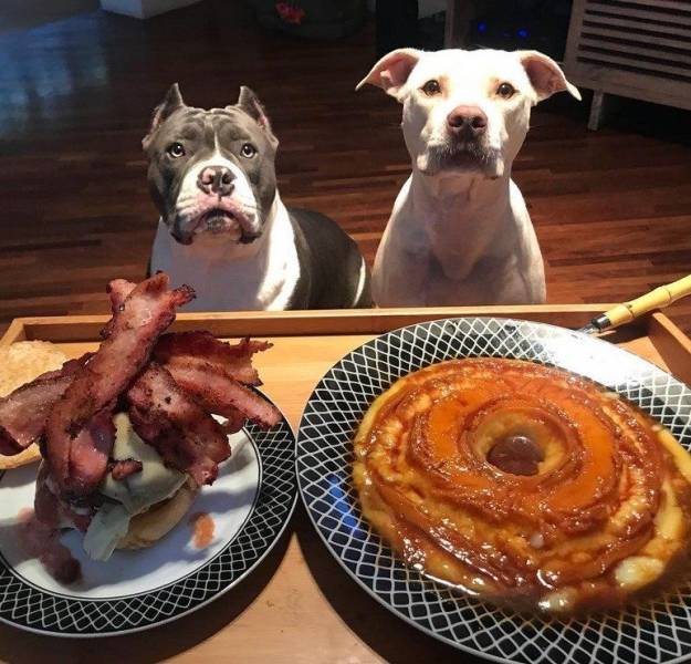 daily picdump weekend edition 67 pics 16.html - 67 HD Photos | Premium Gallery 2018