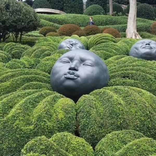 daily picdump weekend edition 67 pics 16.html - 67 HD Photos | Premium Gallery 2018