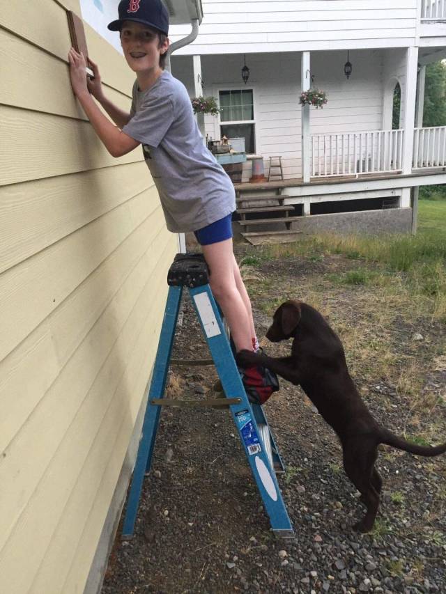 daily picdump weekend edition 67 pics 16.html - 67 HD Photos | Premium Gallery 2018