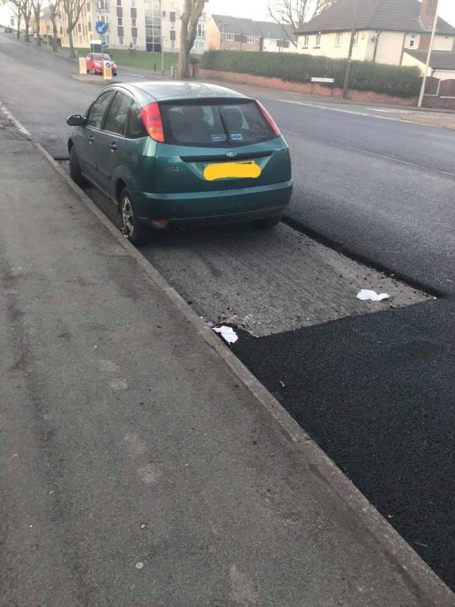 daily picdump weekend edition 67 pics 16.html - 67 HD Photos | Premium Gallery 2018