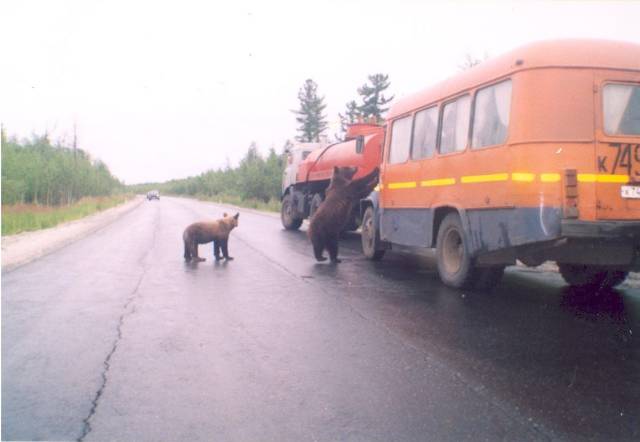 Daily Picdump