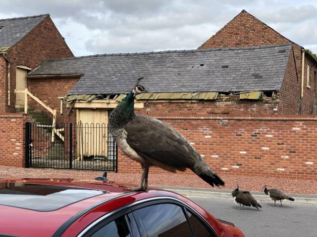 daily picdump 101 pics 49.html - 101 HD Photos | Premium Gallery 2018