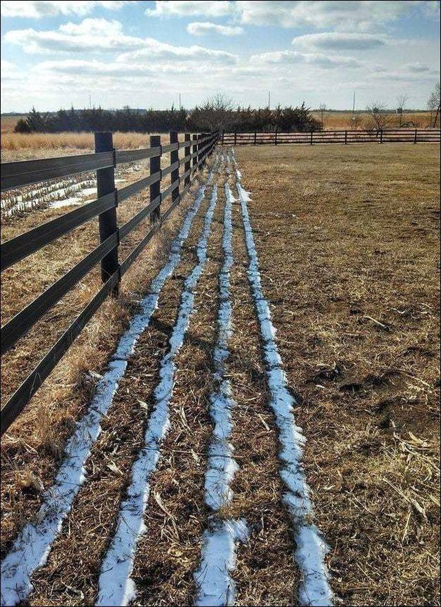 daily picdump 101 pics 49.html - 101 HD Photos | Premium Gallery 2018