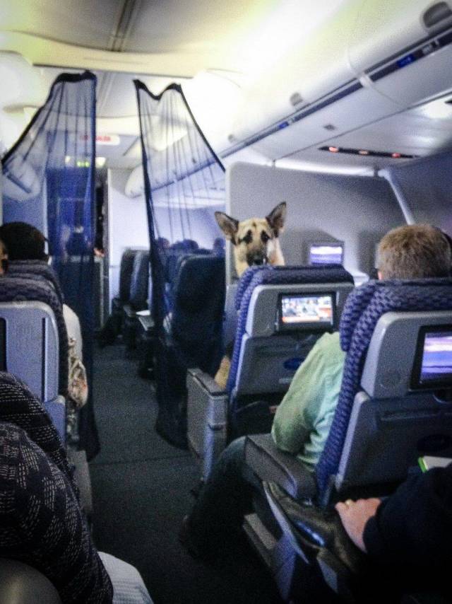 daily picdump 101 pics 49.html - 101 HD Photos | Premium Gallery 2018