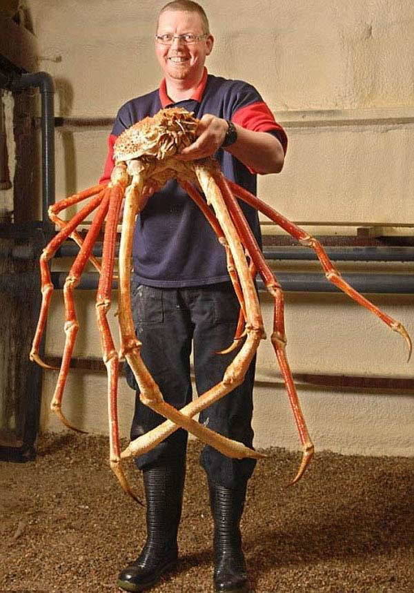 morning picdump 52 pics 12.html - 52 HD Photos | Premium Gallery 2018