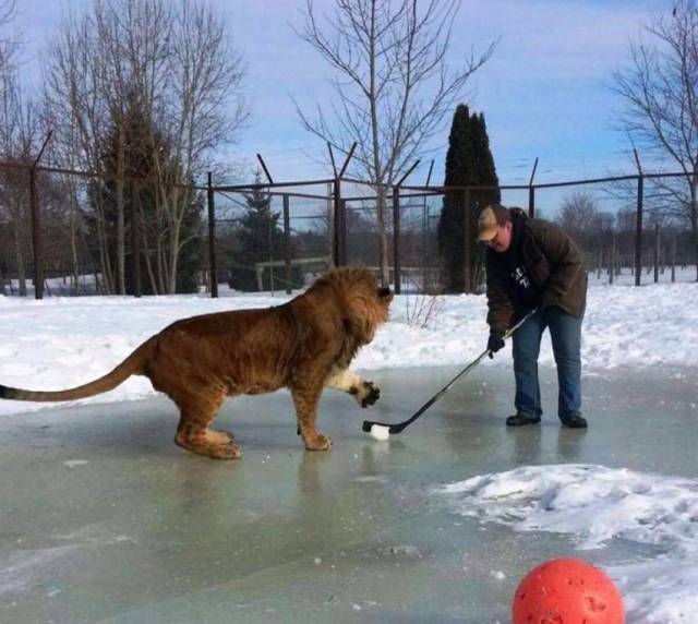 daily picdump 96 pics 4.html - 96 HD Photos | Premium Gallery 2018