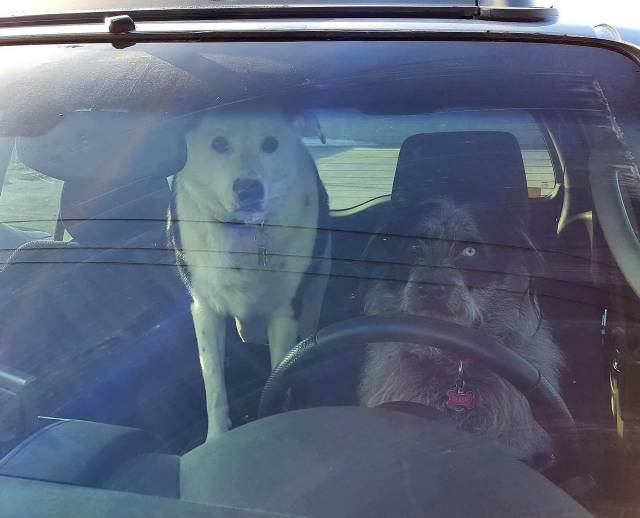 daily picdump 96 pics 4.html - 96 HD Photos | Premium Gallery 2018