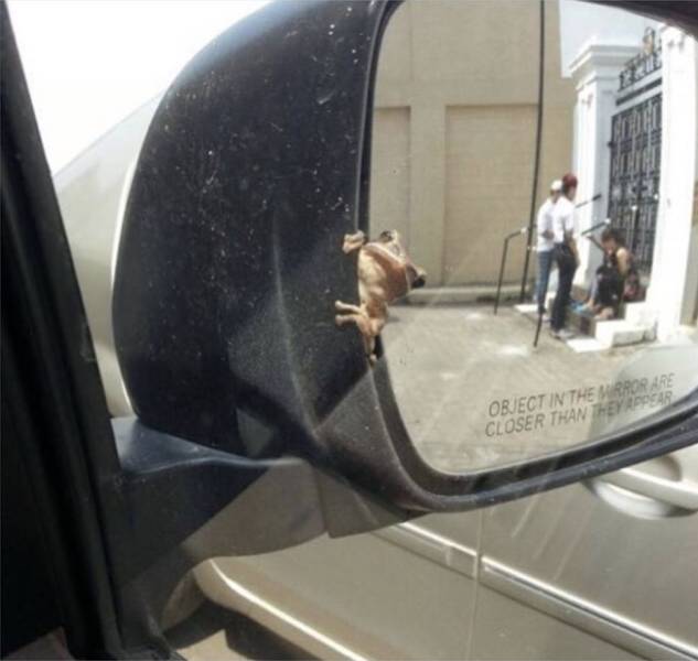 daily picdump 96 pics 4.html - 96 HD Photos | Premium Gallery 2018