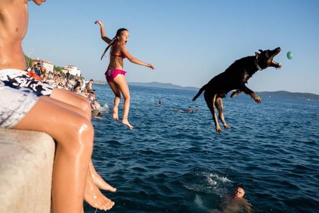 daily picdump 96 pics 4.html - 96 HD Photos | Premium Gallery 2018