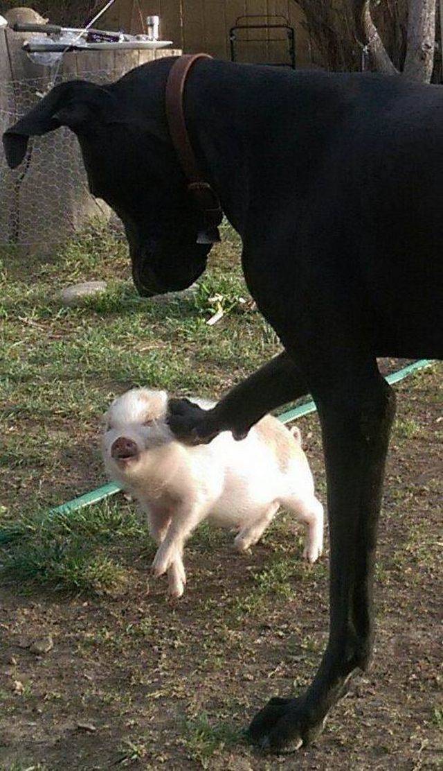 daily picdump 96 pics 4.html - 96 HD Photos | Premium Gallery 2018