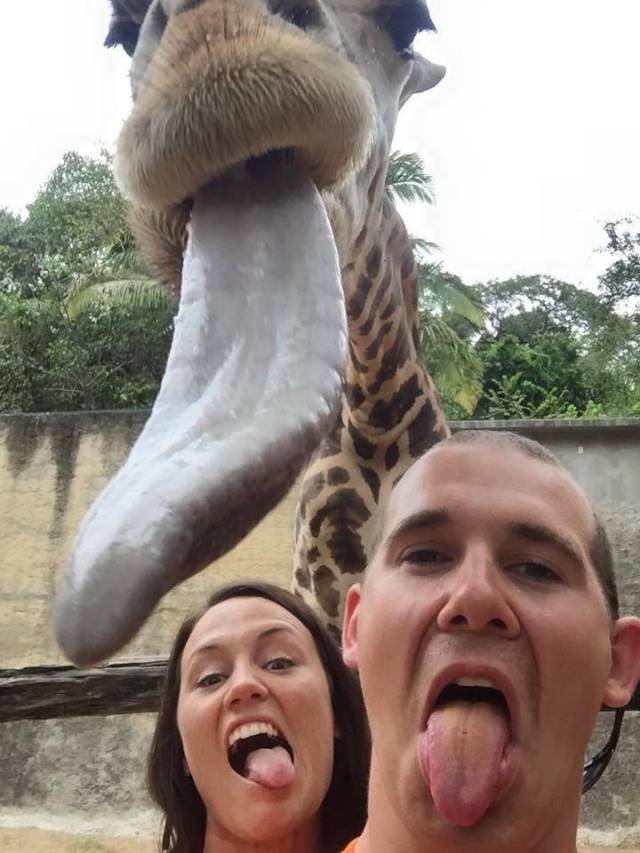 daily picdump 96 pics 4.html - 96 HD Photos | Premium Gallery 2018