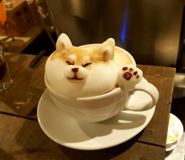 morning picdump 50 pics 3.html - 50 HD Photos | Premium Gallery 2018