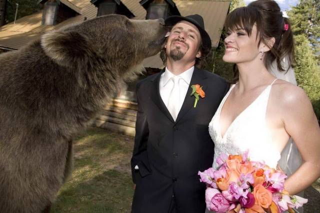 Daily Picdump