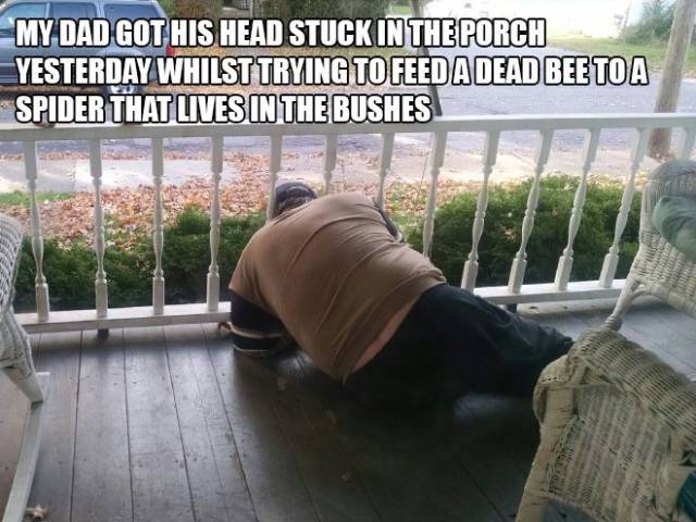 Daily Picdump