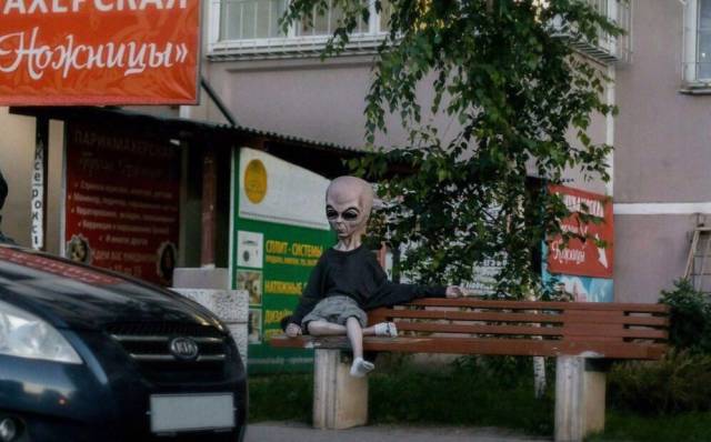 Daily Picdump