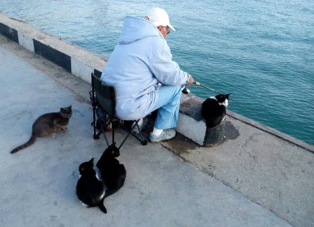 Daily Picdump