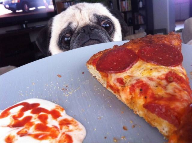 daily picdump 102 pics 12.html - 102 HD Photos | Premium Gallery 2018