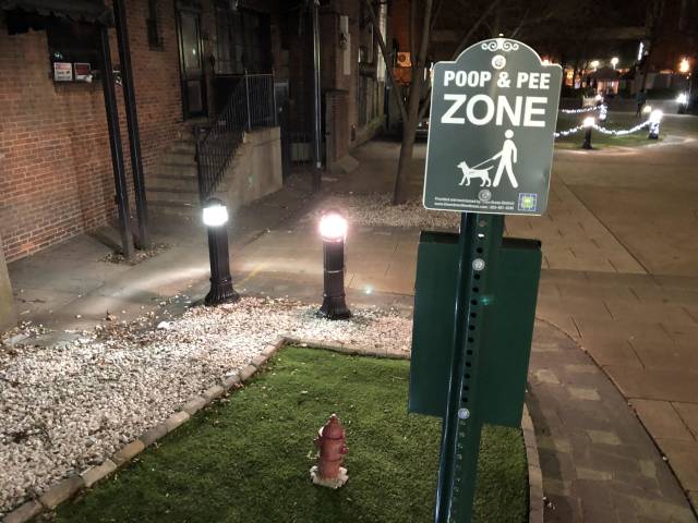 morning picdump 51 pics 14.html - 51 HD Photos | Premium Gallery 2018