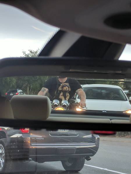 morning picdump 51 pics 14.html - 51 HD Photos | Premium Gallery 2018