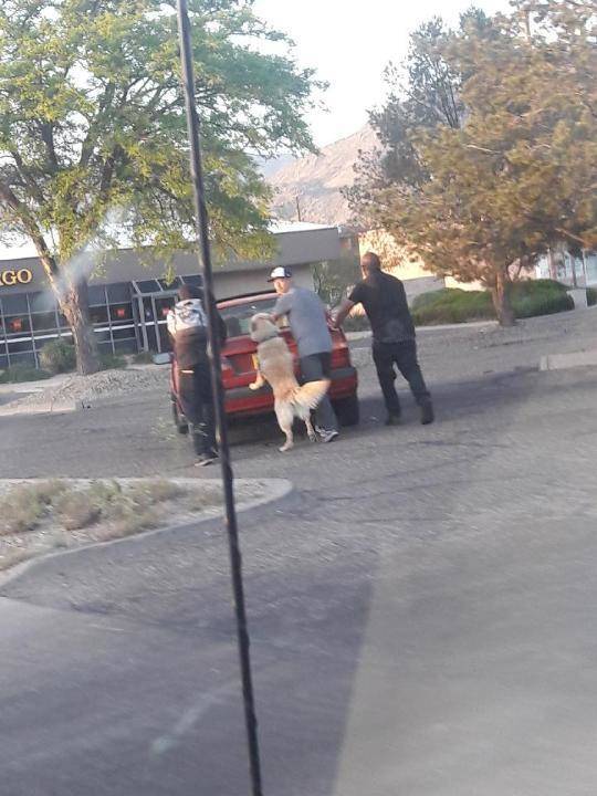 morning picdump 51 pics 14.html - 51 HD Photos | Premium Gallery 2018