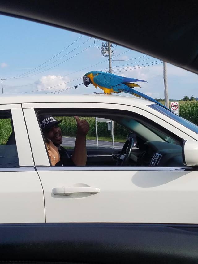 morning picdump 51 pics 14.html - 51 HD Photos | Premium Gallery 2018