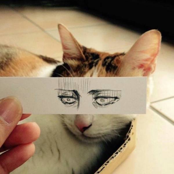 daily picdump 105 pics 16.html - 105 HD Photos | Premium Gallery 2018