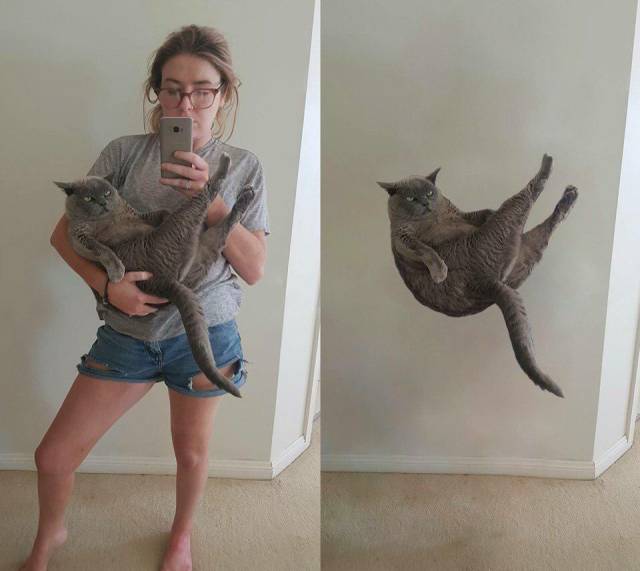 daily picdump 105 pics 16.html - 105 HD Photos | Premium Gallery 2018