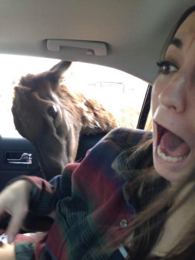 Daily Picdump