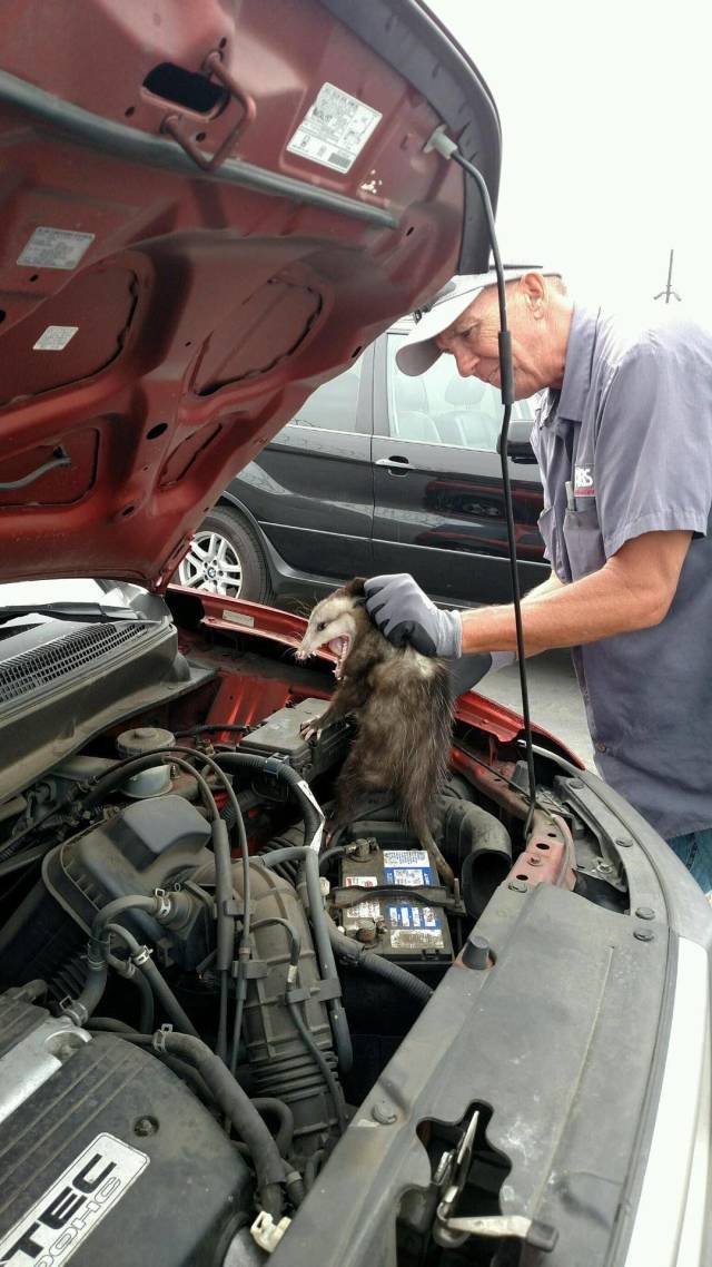 daily picdump 105 pics 16.html - 105 HD Photos | Premium Gallery 2018