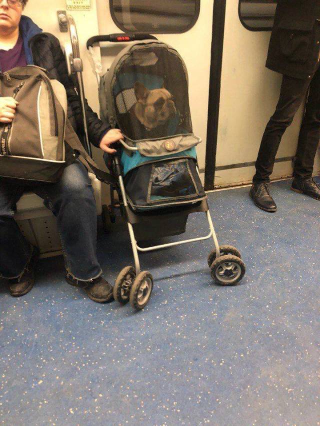 daily picdump 105 pics 16.html - 105 HD Photos | Premium Gallery 2018