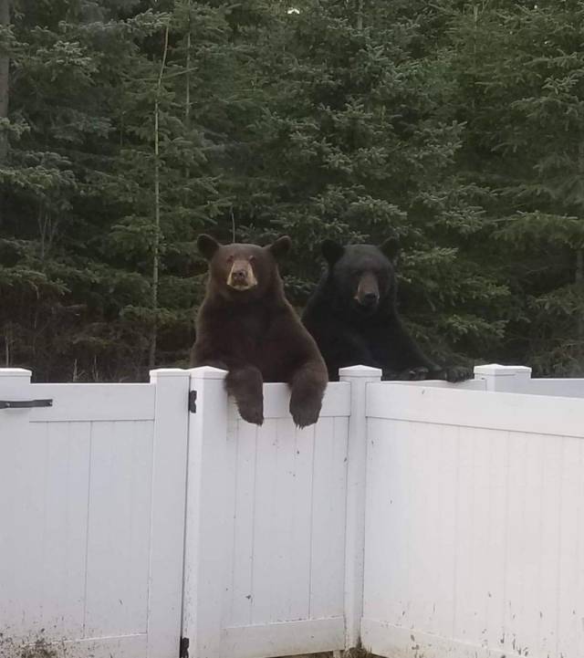 daily picdump 105 pics 16.html - 105 HD Photos | Premium Gallery 2018