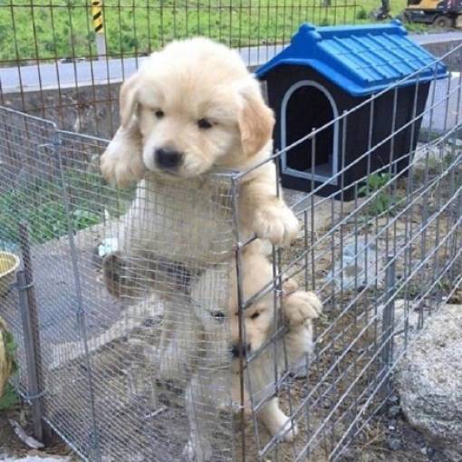 morning picdump 50 pics 23.html - 50 HD Photos | Premium Gallery 2018