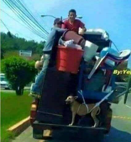 morning picdump 50 pics 23.html - 50 HD Photos | Premium Gallery 2018