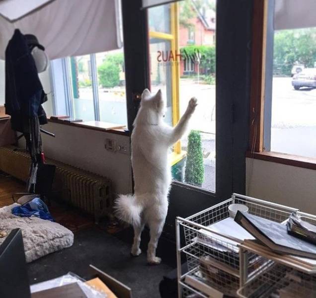 morning picdump 50 pics 23.html - 50 HD Photos | Premium Gallery 2018