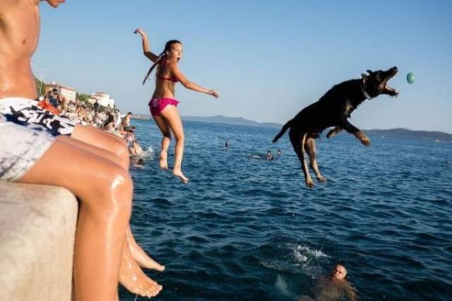 daily picdump weekend edition 52 pics 13.html - 52 HD Photos | Premium Gallery 2018