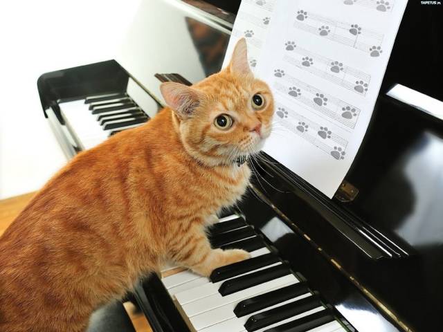 daily picdump 102 pics 48.html - 102 HD Photos | Premium Gallery 2018