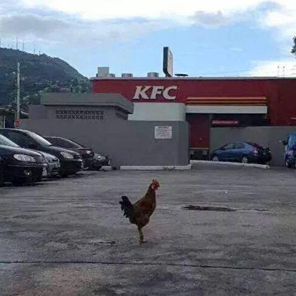 daily picdump 102 pics 48.html - 102 HD Photos | Premium Gallery 2018