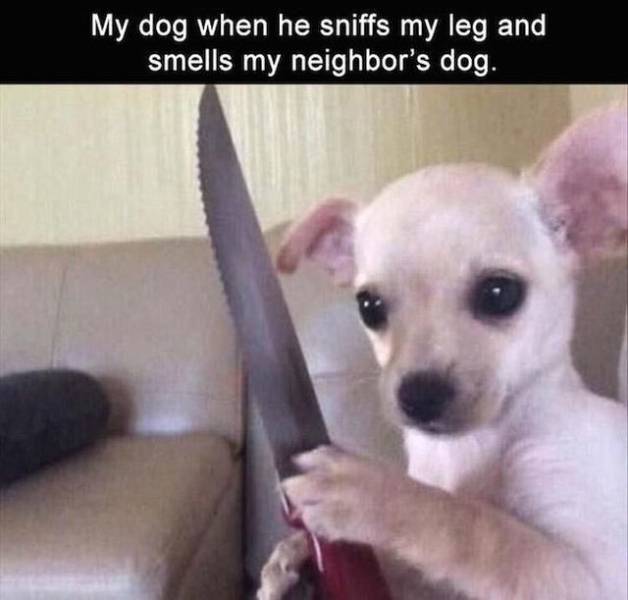 daily picdump 102 pics 48.html - 102 HD Photos | Premium Gallery 2018