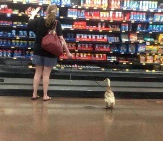 daily picdump 102 pics 48.html - 102 HD Photos | Premium Gallery 2018