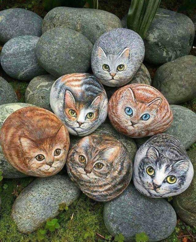 Daily Picdump