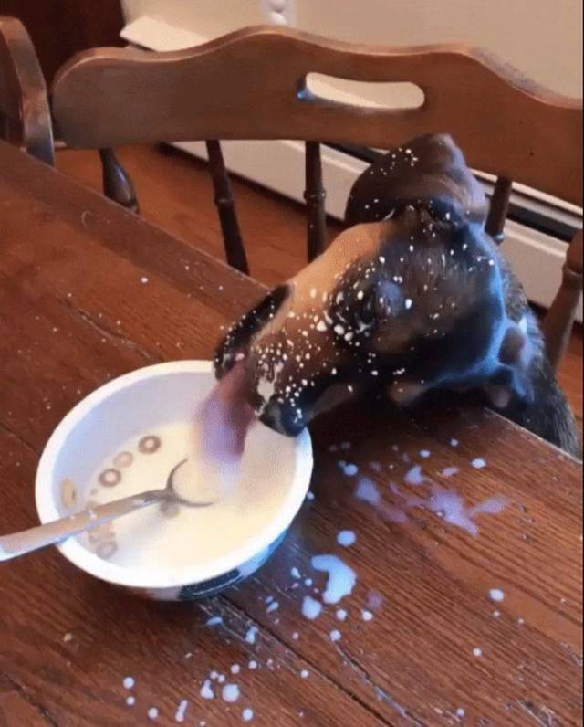 daily picdump 102 pics 48.html - 102 HD Photos | Premium Gallery 2018