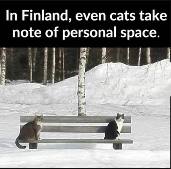 Funny Picdump