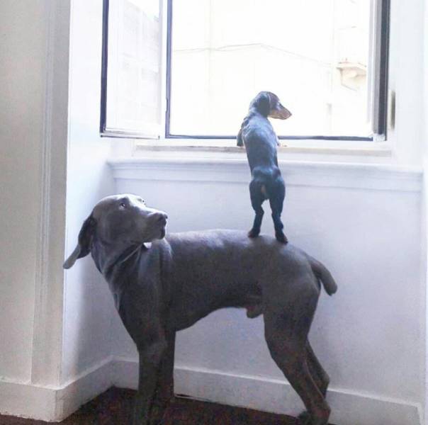 daily picdump 110 pics 13.html - 110 HD Photos | Premium Gallery 2018