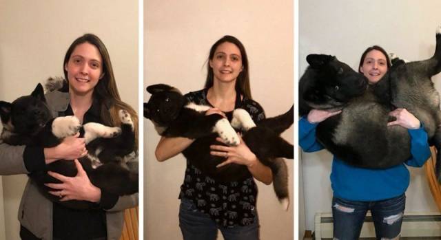 daily picdump 110 pics 13.html - 110 HD Photos | Premium Gallery 2018