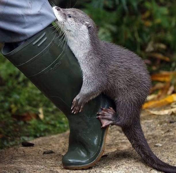 daily picdump 110 pics 13.html - 110 HD Photos | Premium Gallery 2018