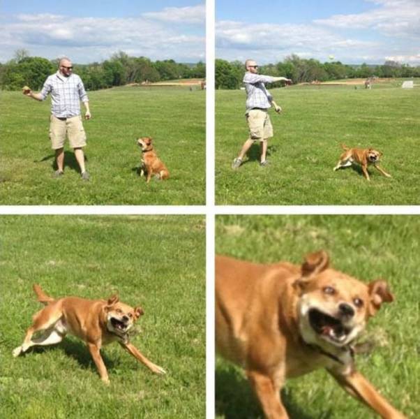 daily picdump 110 pics 13.html - 110 HD Photos | Premium Gallery 2018