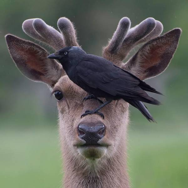 daily picdump 110 pics 13.html - 110 HD Photos | Premium Gallery 2018