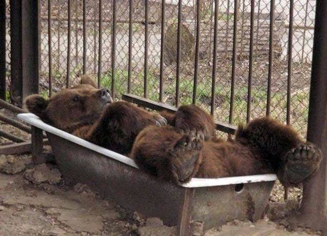 daily picdump 110 pics 13.html - 110 HD Photos | Premium Gallery 2018